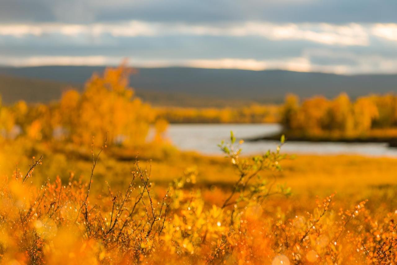 Arctic Gourmet Cabin Kiruna Dış mekan fotoğraf