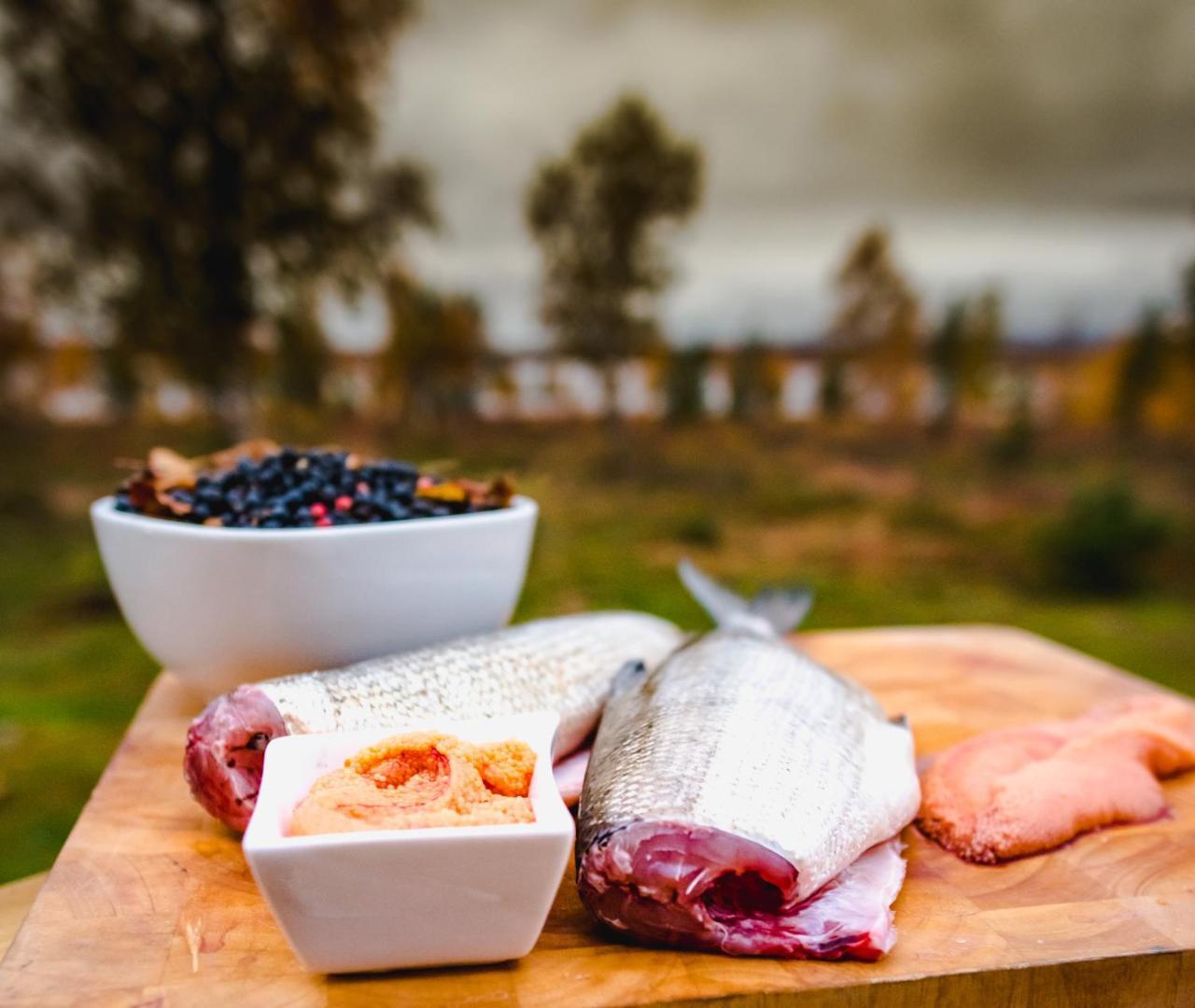 Arctic Gourmet Cabin Kiruna Dış mekan fotoğraf