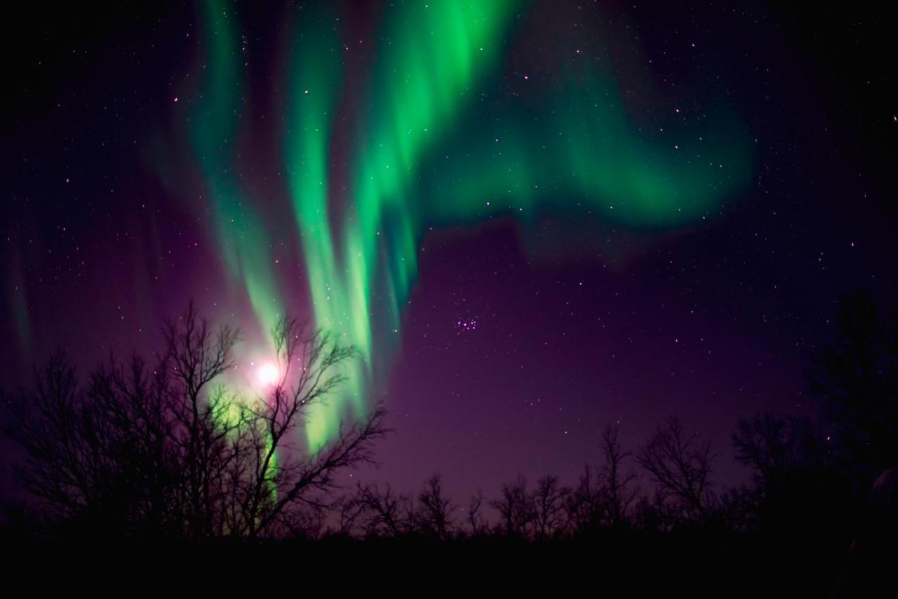 Arctic Gourmet Cabin Kiruna Dış mekan fotoğraf