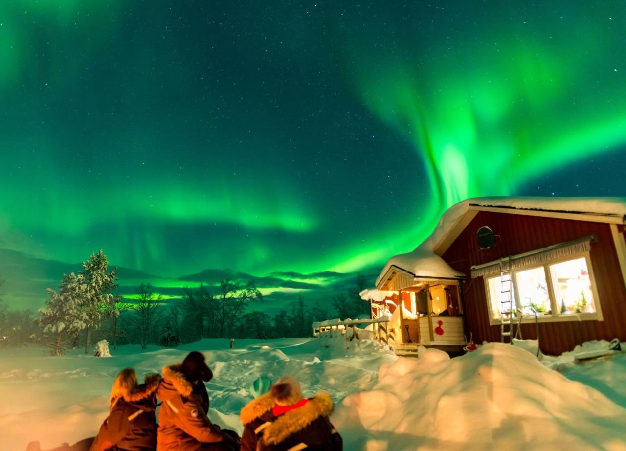 Arctic Gourmet Cabin Kiruna Dış mekan fotoğraf